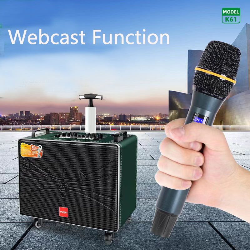 2022 Professional Portable Karaoke Machine With Wireless Microphone