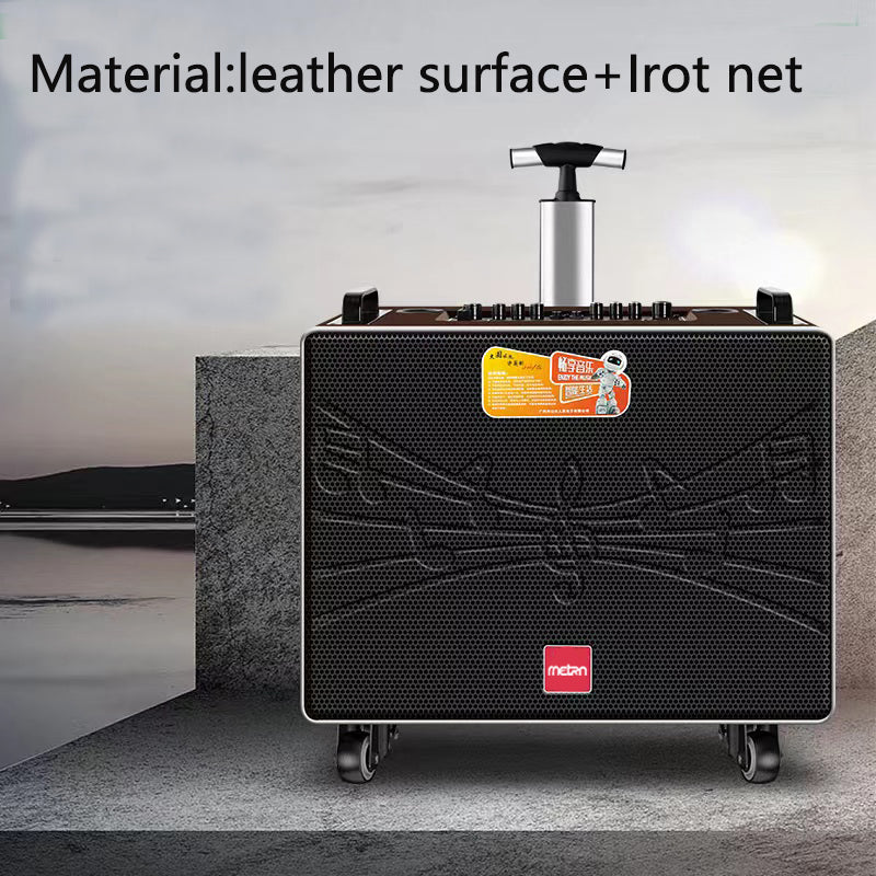 2022 Professional Portable Karaoke Machine With Wireless Microphone